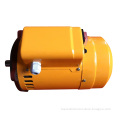 (CE Approved) 2013 Hot Sale Low Price Spray Electric Motor